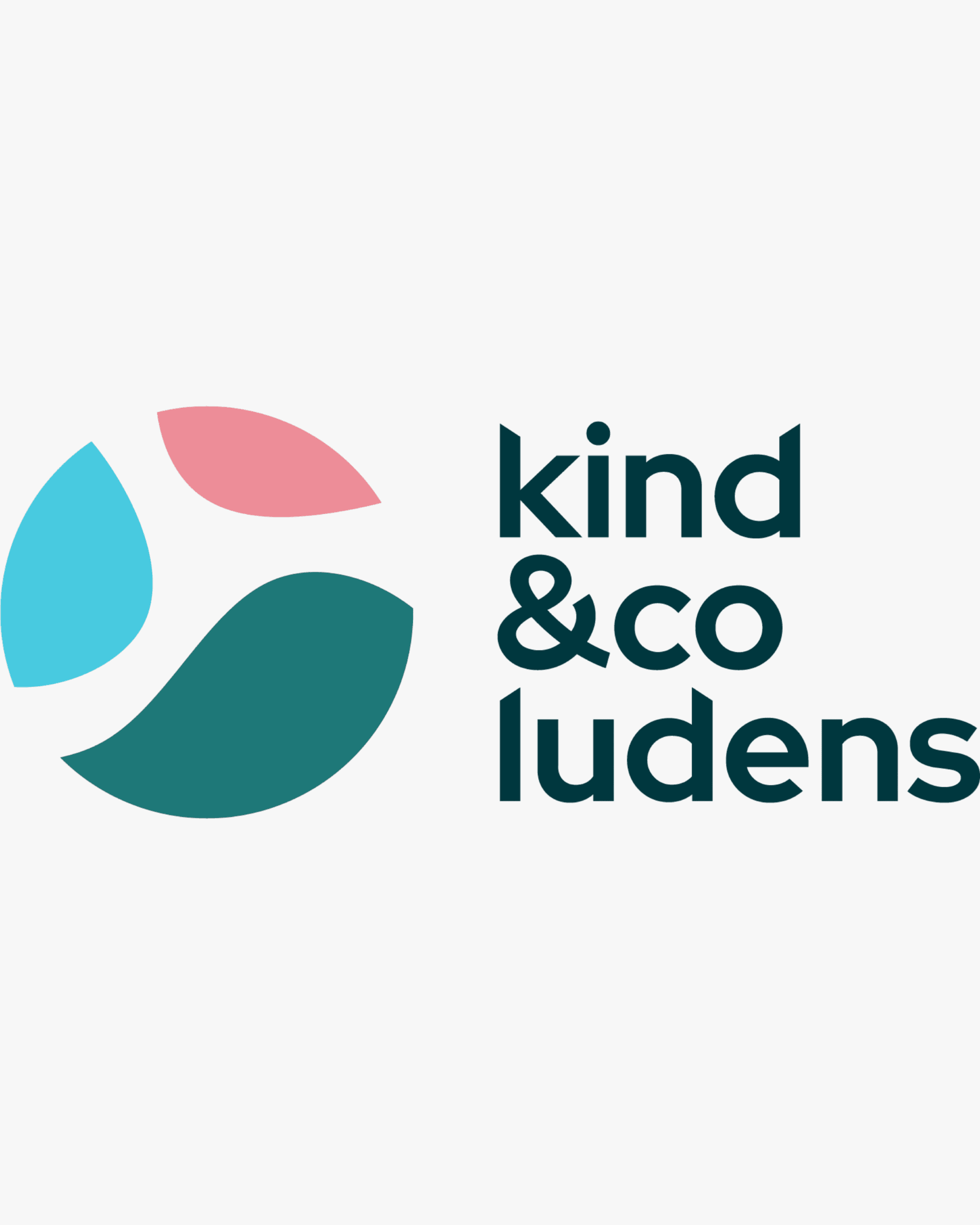 Kind en Co Ludens