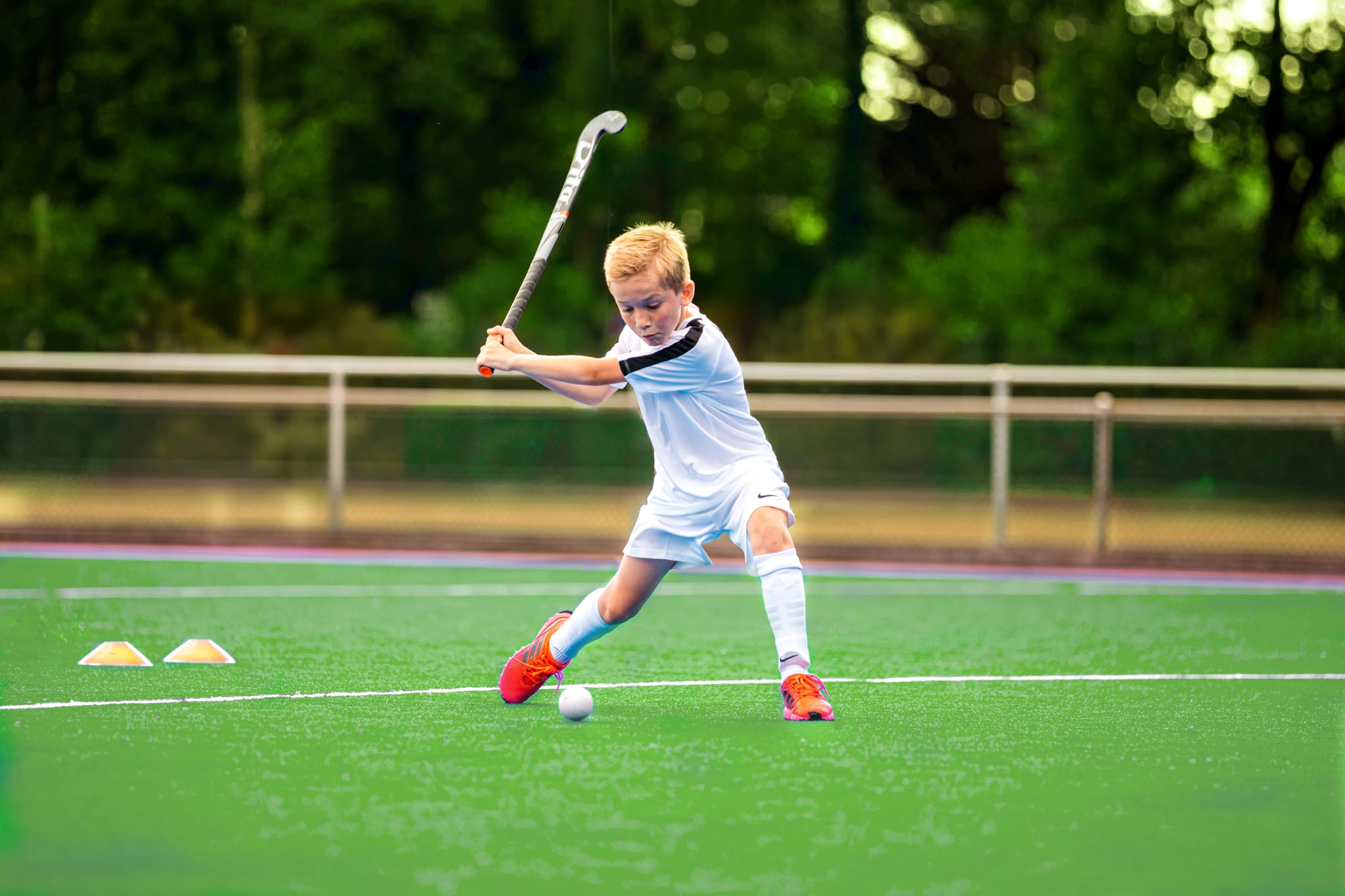 Ubuntu Hockey